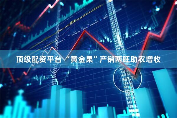顶级配资平台 “黄金果”产销两旺助农增收