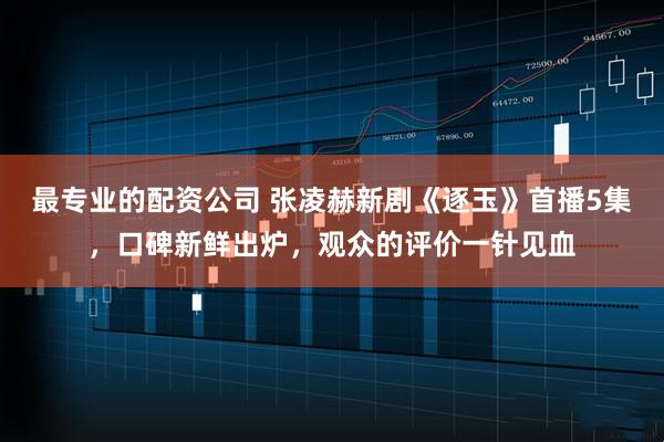 最专业的配资公司 张凌赫新剧《逐玉》首播5集，口碑新鲜出炉，观众的评价一针见血
